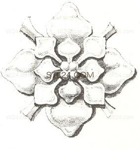 ROSETTE_0598